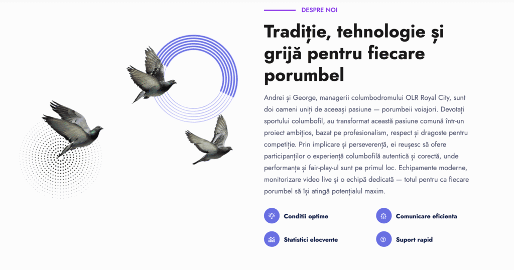 AI Visibility Lite în acțiune