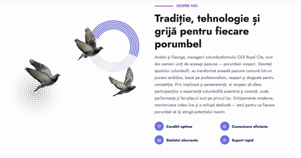 AI Visibility Lite în acțiune